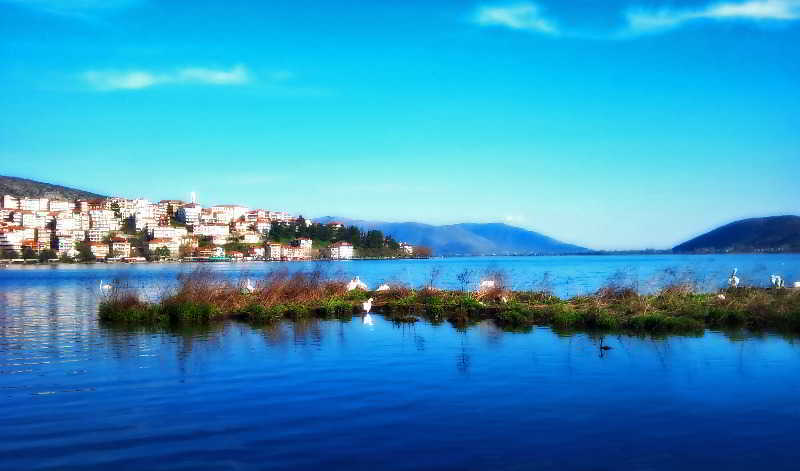 Afkos Grammos Resort Kastoria Bagian luar foto